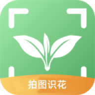 拍图识花app：精准识别花草树木，下载解锁美丽花语