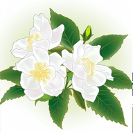 解语茶花官方正版免费下载，享受品质生活