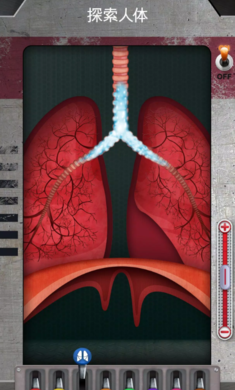 探索人体奥秘:《人体运作奥秘》手游下载