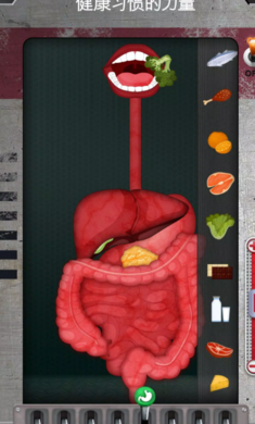 探索人体奥秘:《人体运作奥秘》手游下载