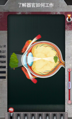 探索人体奥秘:《人体运作奥秘》手游下载