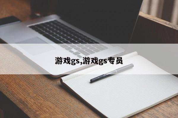 游戏gs,游戏gs专员