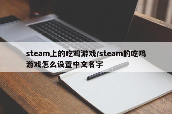 steam上的吃鸡游戏/steam的吃鸡游戏怎么设置中文名字