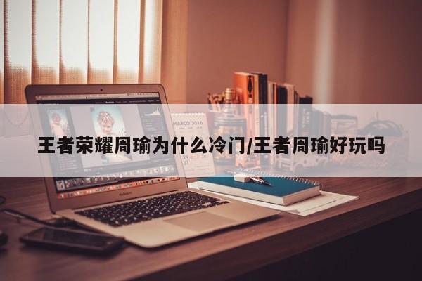 王者荣耀周瑜为什么冷门/王者周瑜好玩吗